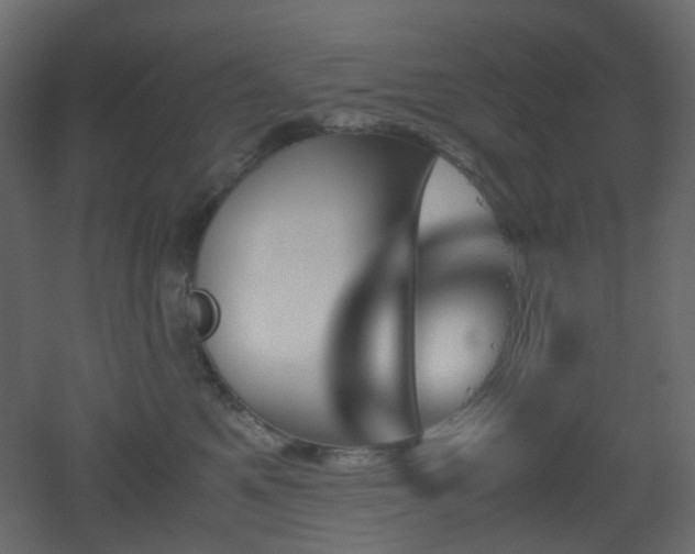 X0000051910521200506241446