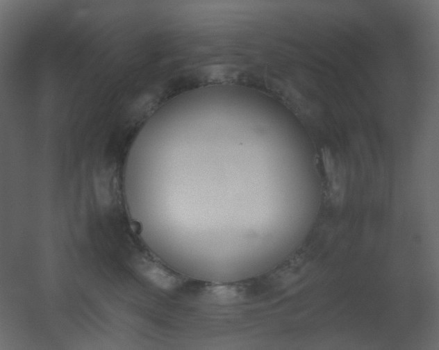 X0000051910522200506241446