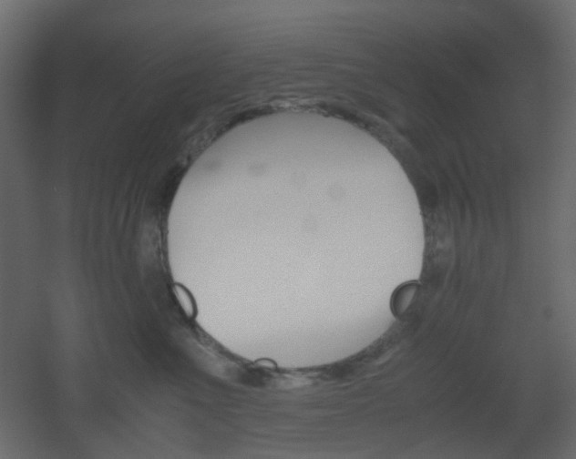 X0000051910523200506241446