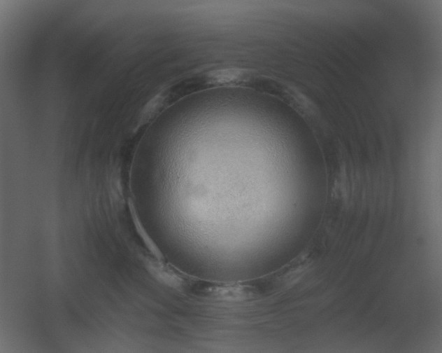 X0000051910524200506241446