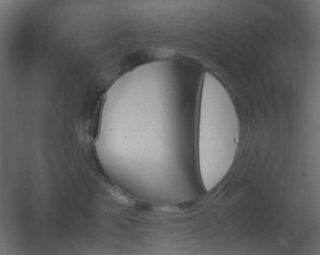 X0000051910525200506241446