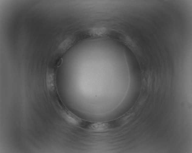 X0000051910526200506241446