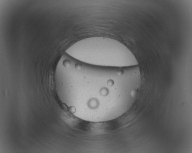 X0000051910527200506241446