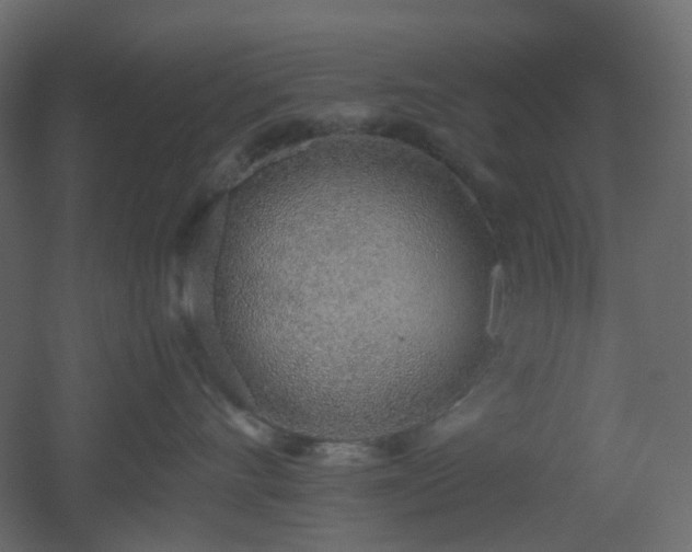 X0000051910528200506241446