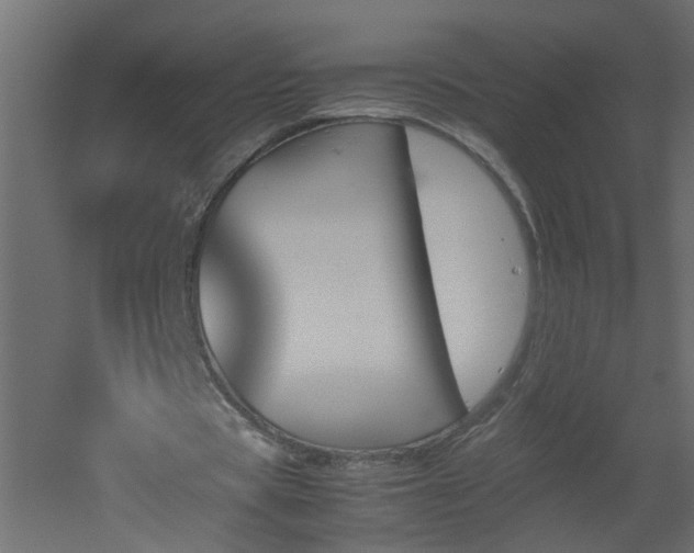 X0000051910529200506241445