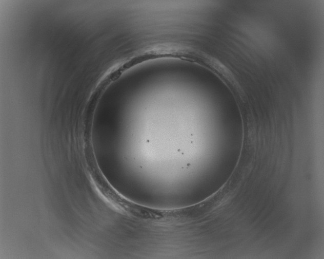 X0000051910530200506241445