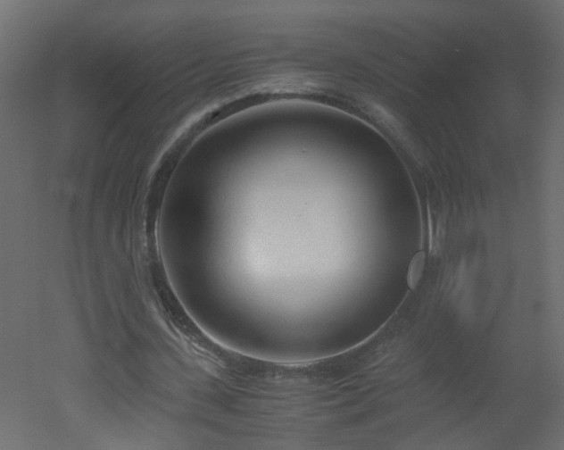 X0000051910531200506241445