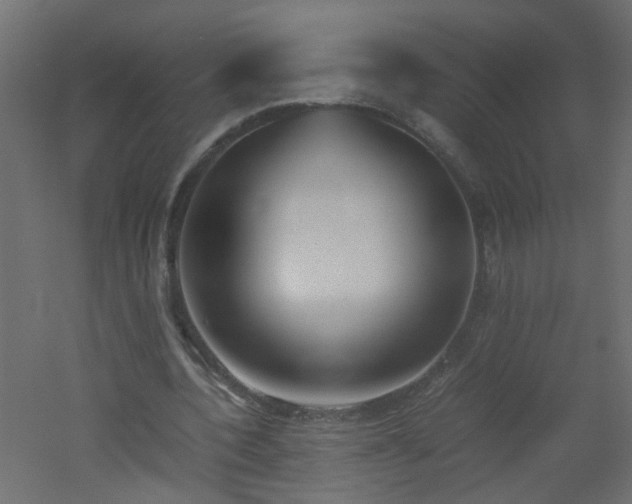 X0000051910532200506241445