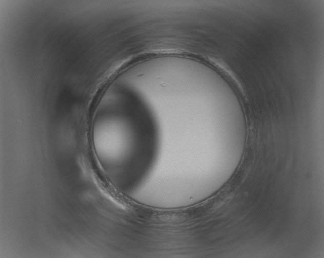 X0000051910533200506241445