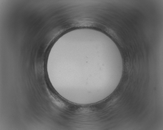 X0000051910534200506241445