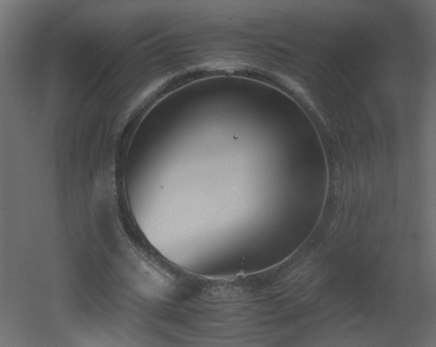 X0000051910535200506241445