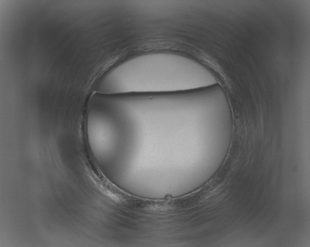 X0000051910537200506241445