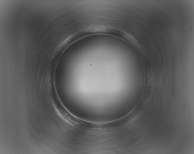 X0000051910538200506241445