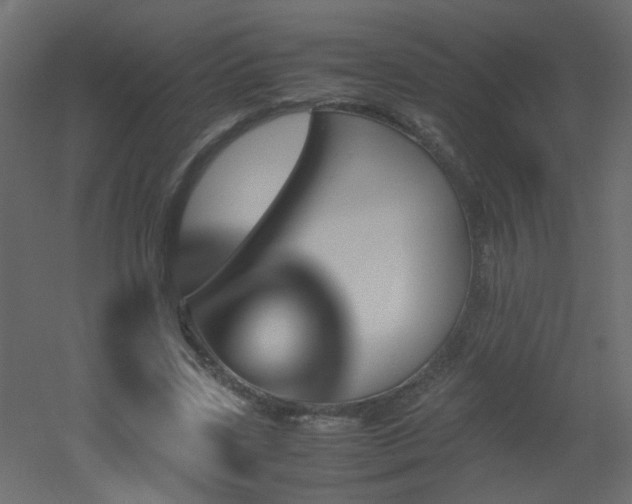 X0000051910539200506241445