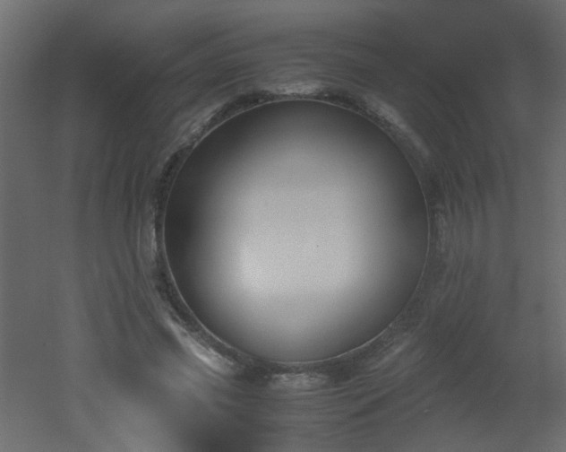 X0000051910541200506241445