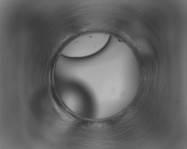 X0000051910542200506241445