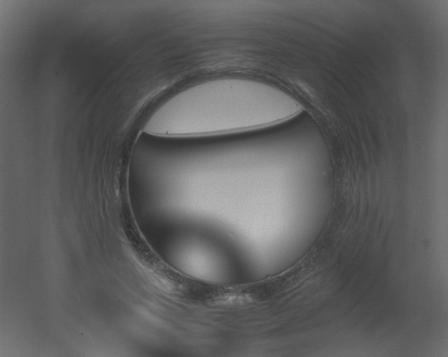 X0000051910543200506241445