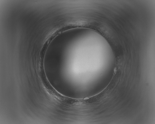 X0000051910544200506241445