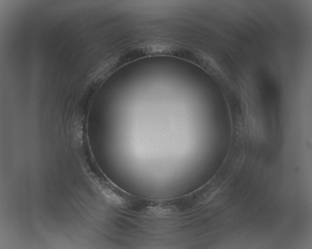 X0000051910545200506241445