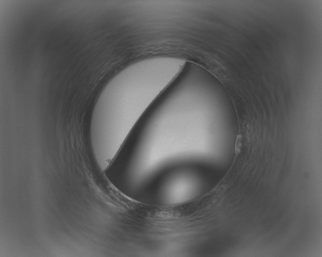 X0000051910546200506241445