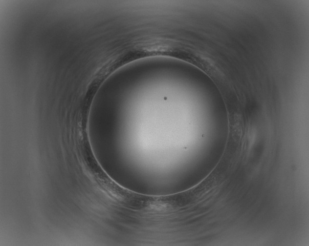 X0000051910547200506241445