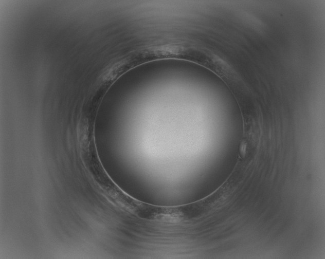 X0000051910548200506241445