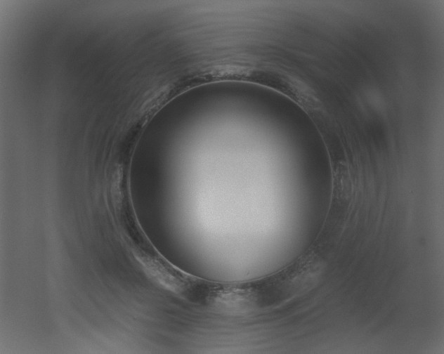 X0000051910550200506241445