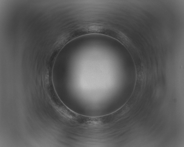 X0000051910552200506241446