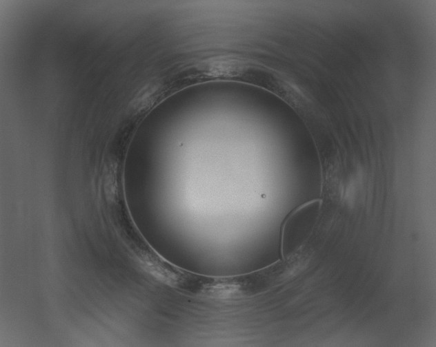 X0000051910554200506241446