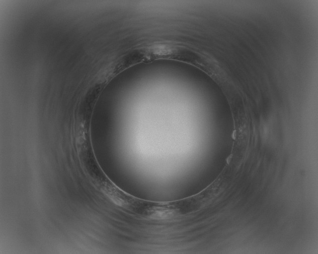 X0000051910555200506241446