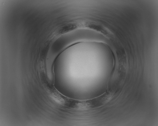 X0000051910556200506241446