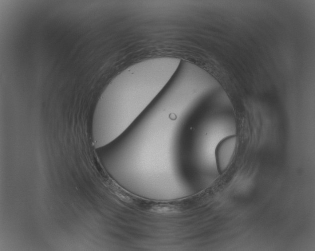 X0000051910557200506241446