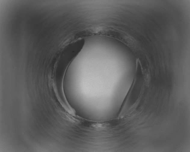 X0000051910558200506241446