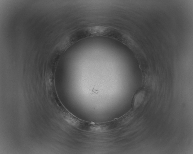 X0000051910561200506241446