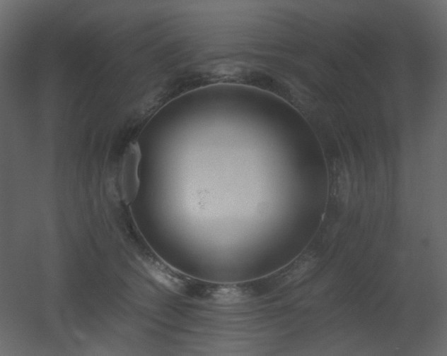 X0000051910562200506241446