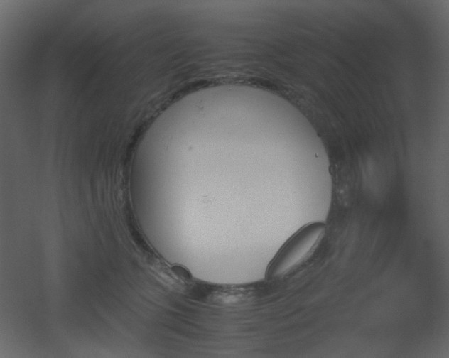 X0000051910563200506241446