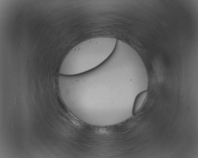 X0000051910565200506241446