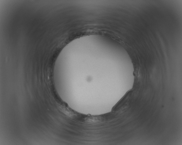 X0000051910567200506241446