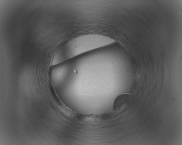 X0000051910568200506241446