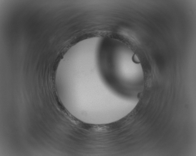 X0000051910569200506241446