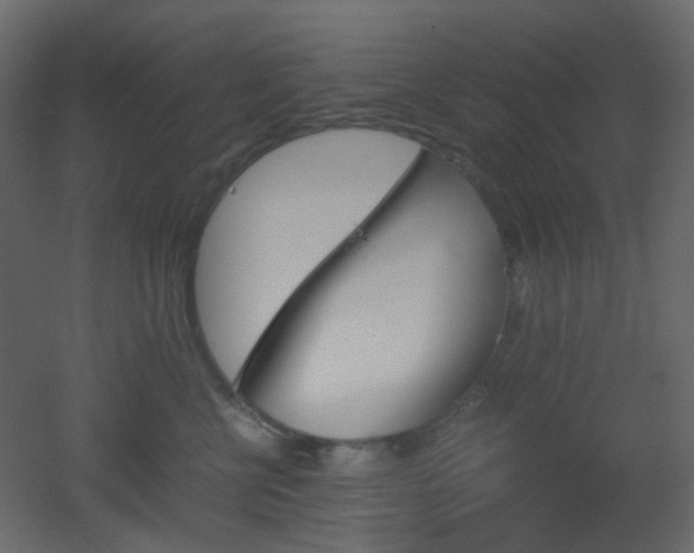 X0000051910570200506241446