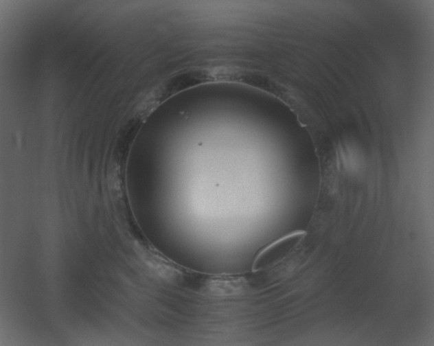 X0000051910571200506241446