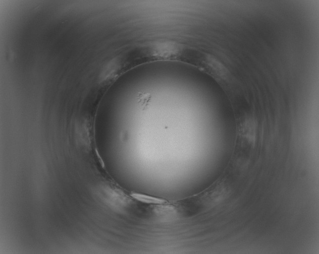 X0000051910572200506241446