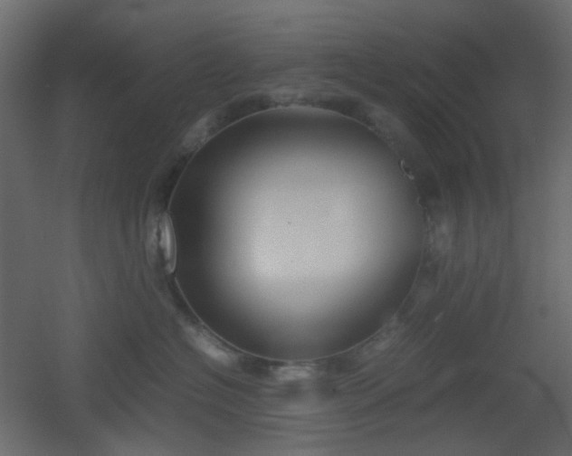 X0000051910574200506241446