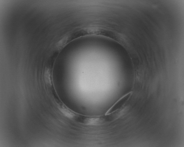 X0000051910575200506241446