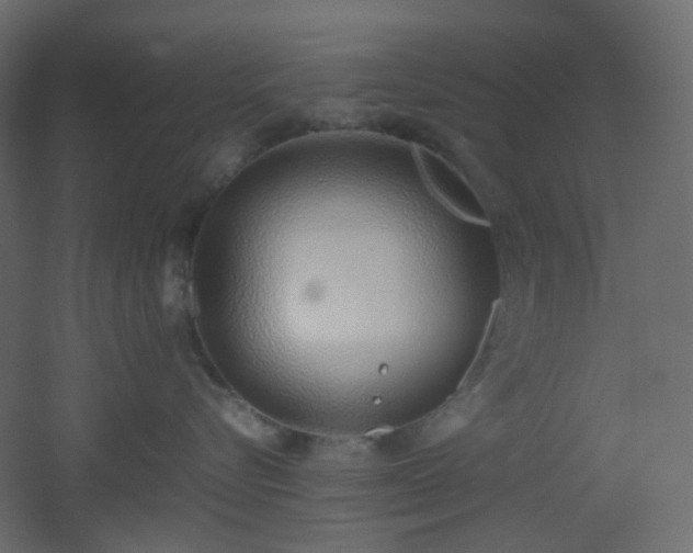 X0000051910576200506241446