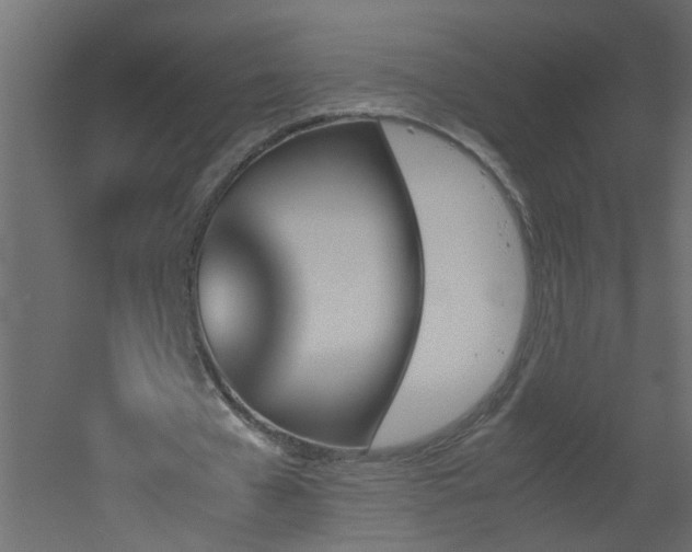 X0000051910577200506241445