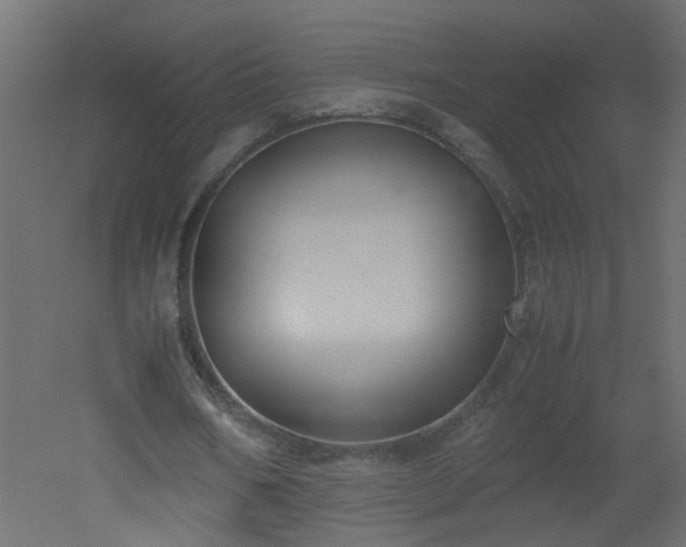 X0000051910578200506241445