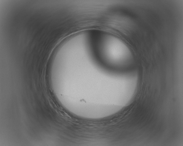 X0000051910579200506241445