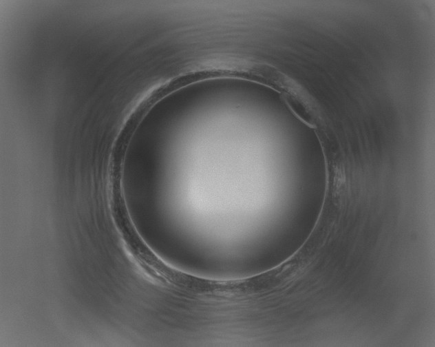 X0000051910580200506241445